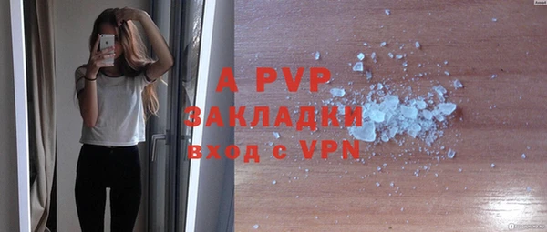 трава Осинники