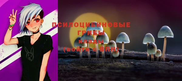 твердый Белоозёрский