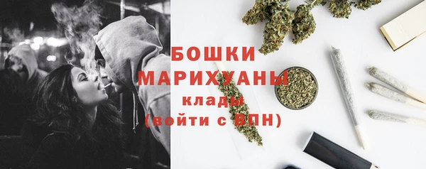 дмт Осташков
