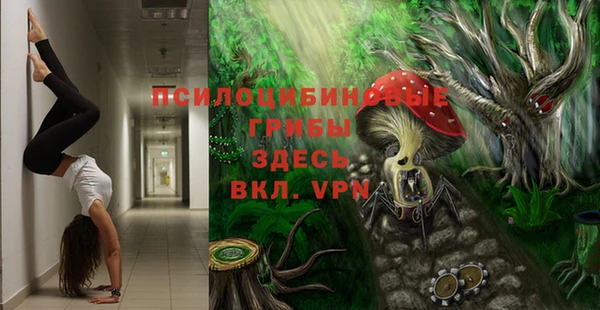 дмт Осташков