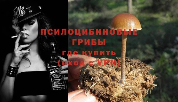 ECSTASY Белокуриха