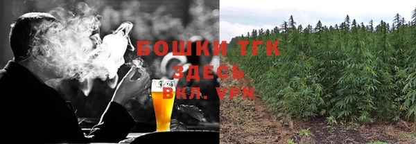 ECSTASY Белокуриха