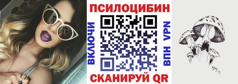 Галлюциногенные грибы Cubensis Невель